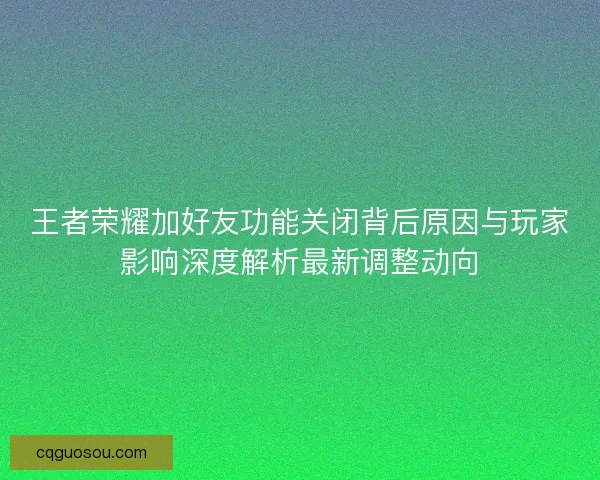 王者荣耀加好友功能关闭背后原因与玩家影响深度解析最新调整动向