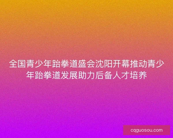 全国青少年跆拳道盛会沈阳开幕推动青少年跆拳道发展助力后备人才培养
